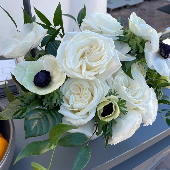 Meet your Posher, Elle - Picture 1 of 1